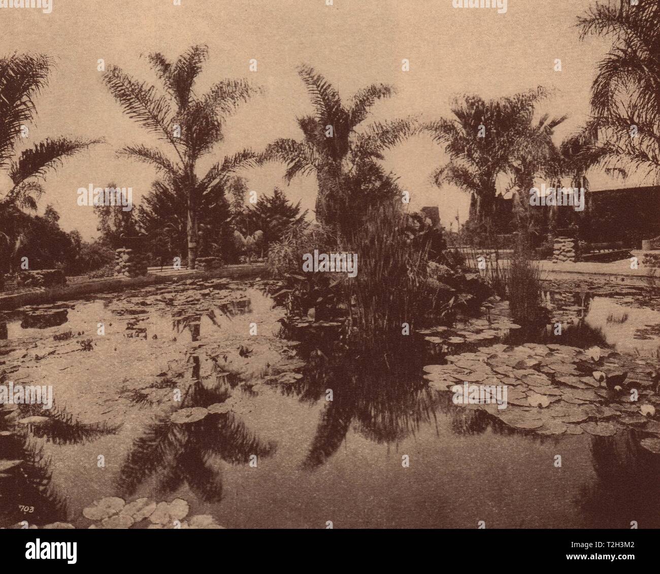 Cliff Gardens - Mission San Diego County Banque D'Images