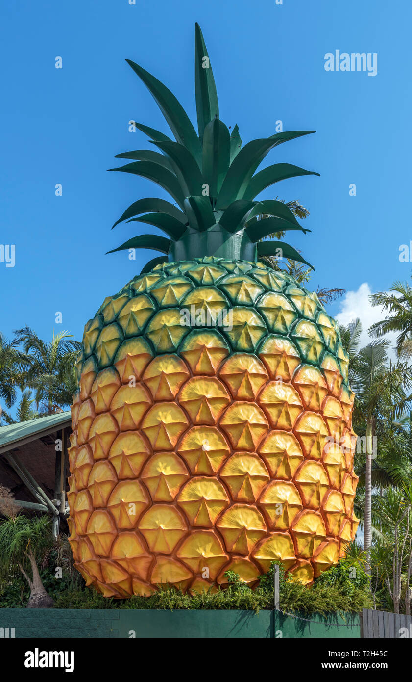 Le big Pineapple, une roadside attraction sur l'autoroute Bruce dans le Queensland, Australie Banque D'Images