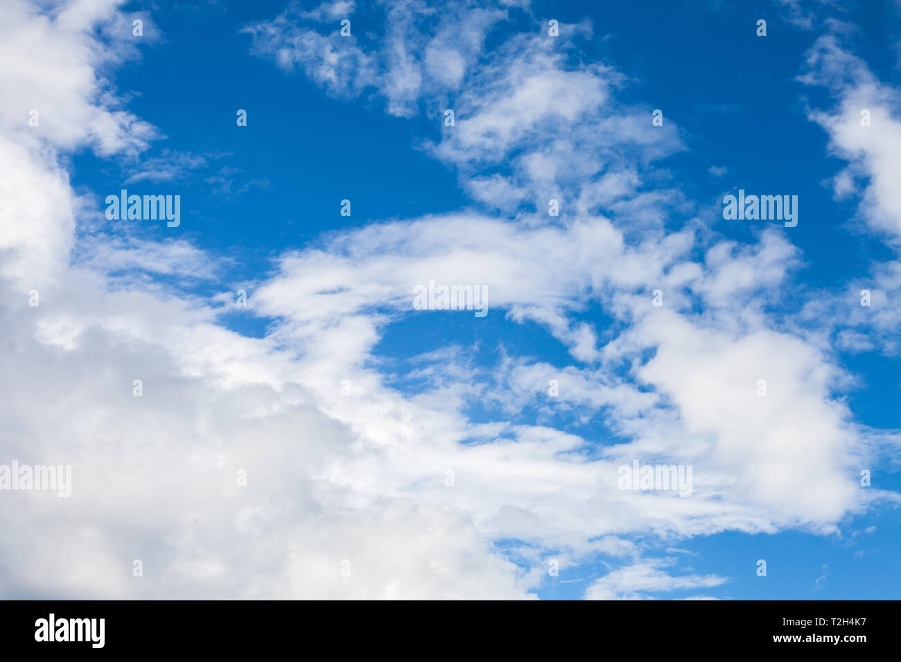 Cumulus blanc en bleu ciel à jour. Photo de fond naturel Banque D'Images