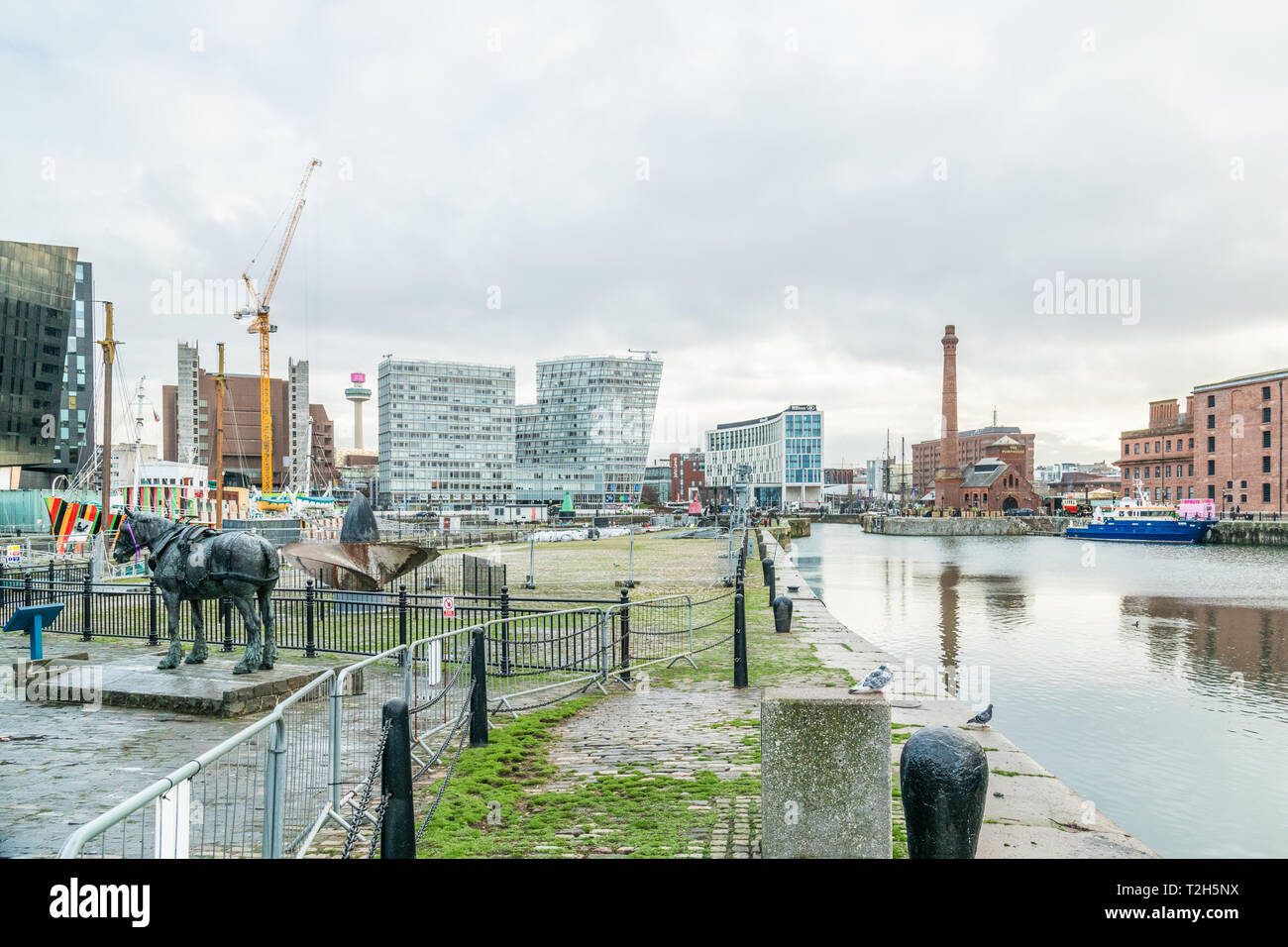 Royal Albert Dock de Liverpool, en Angleterre, en Europe Banque D'Images