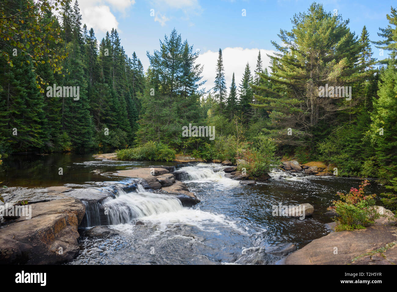 Cascades dans le parc provincial Algonquin, en Ontario, au Canada, en Amérique du Nord Banque D'Images