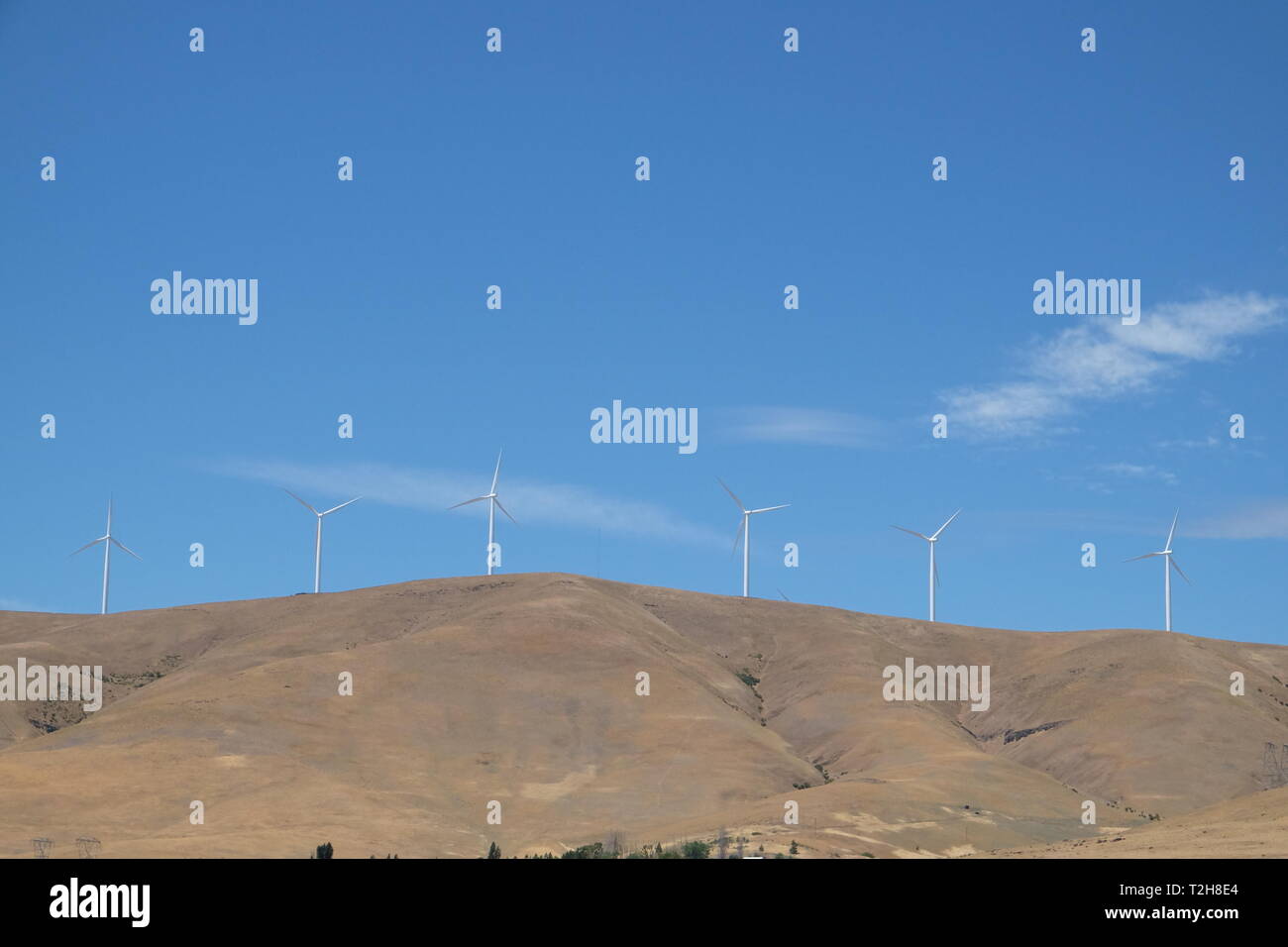 Les moulins à vent sur une colline dans le sud de l'État de Washington Banque D'Images