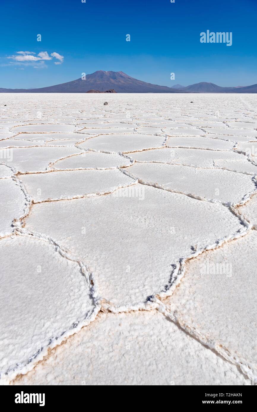 Croûte de sel, le Salar de Uyuni, Altiplano, Bolivie Banque D'Images