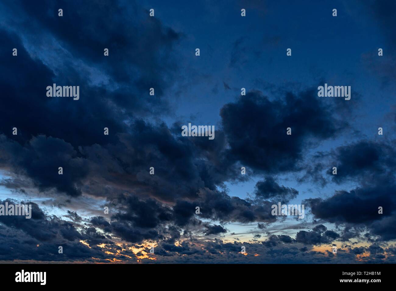 Pluie nuages sombres (Nimbostratus) dans le ciel du soir, Middle Franconia, Bavaria, Germany Banque D'Images