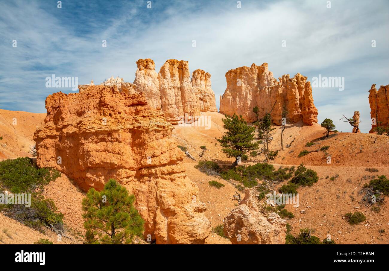 Étranges formations rocheuses, Hoodos, formations de grès rougeâtre, Bryce Canyon National Park, Utah, USA Banque D'Images