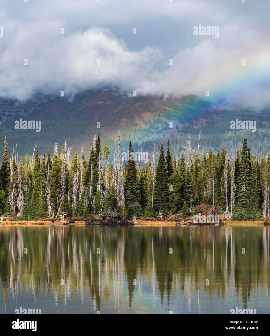 Dans les nuages arc-en-ciel au-dessus d'une forêt, qui se reflète dans le lac Sparks, Deschutes County, Oregon, USA Banque D'Images