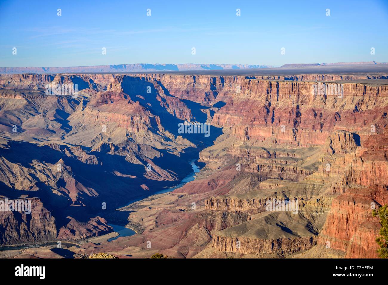 Paysage du canyon, gorge du Grand Canyon, vue du fleuve Colorado, érodés, paysage rock South Rim, le Parc National du Grand Canyon, Arizona, USA Banque D'Images