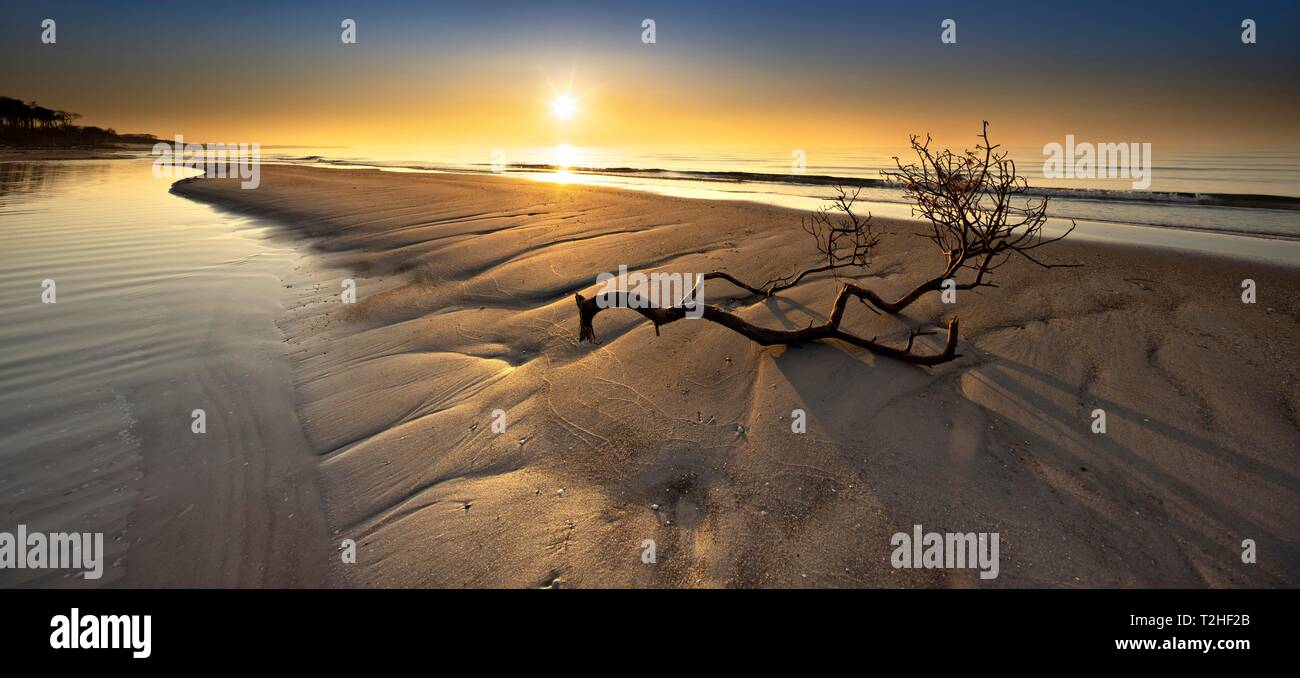 Direction générale sur banc de sable au coucher du soleil sur la plage de la mer Baltique, péninsule Fischland-Darss-Zingst, Poméranie occidentale Lagoon Salon National Park Banque D'Images