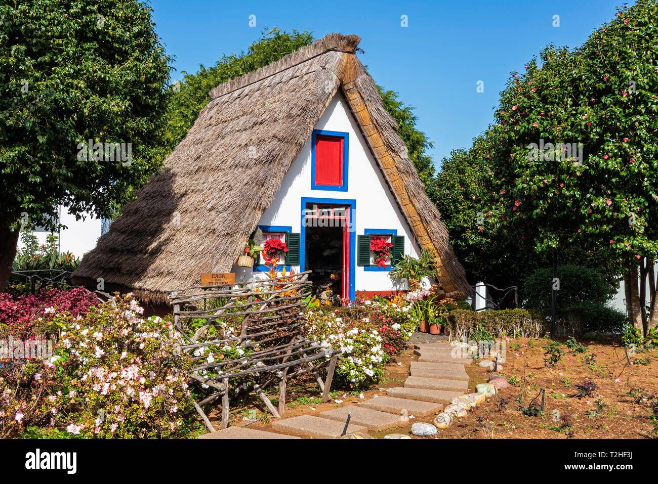 Maison au toit de chaume traditionnel, Santana, Madeira, Portugal Banque D'Images