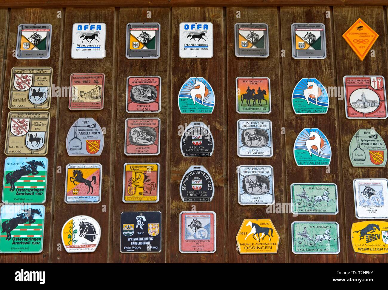 Sport équestre, d'insignes, Suisse Banque D'Images