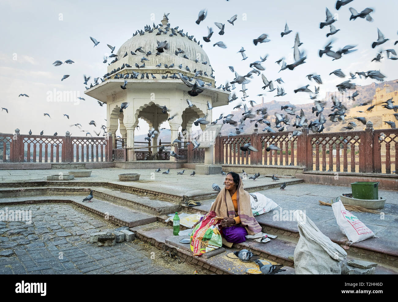 Woman feeding pigeons avec du maïs à Fort Amber au Rajasthan, Inde, Asie Banque D'Images
