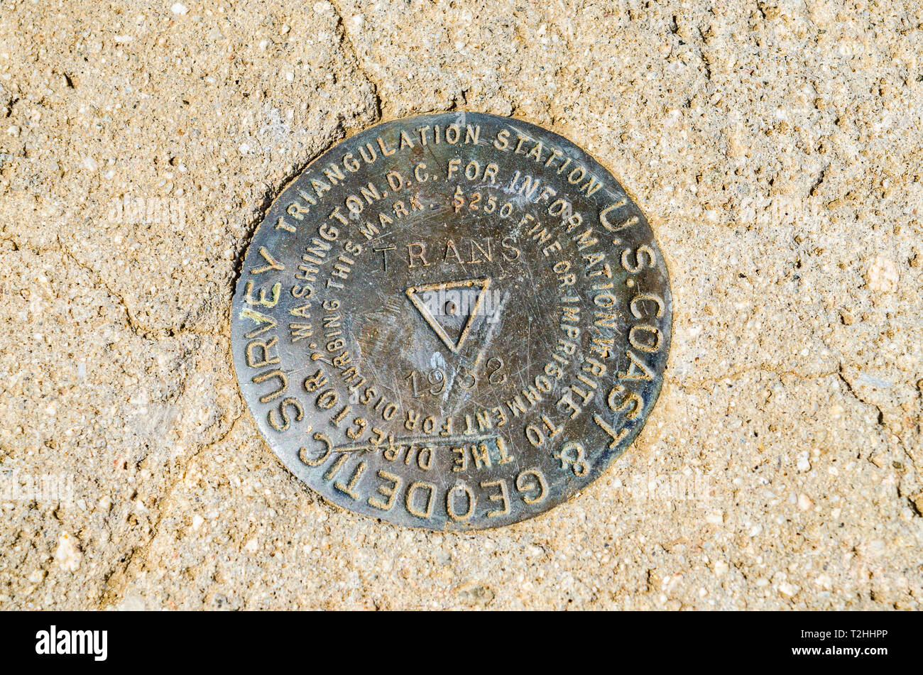 Les scènes dans les champs de pavot dans le haut désert de Californie USA près de Lancaster Banque D'Images