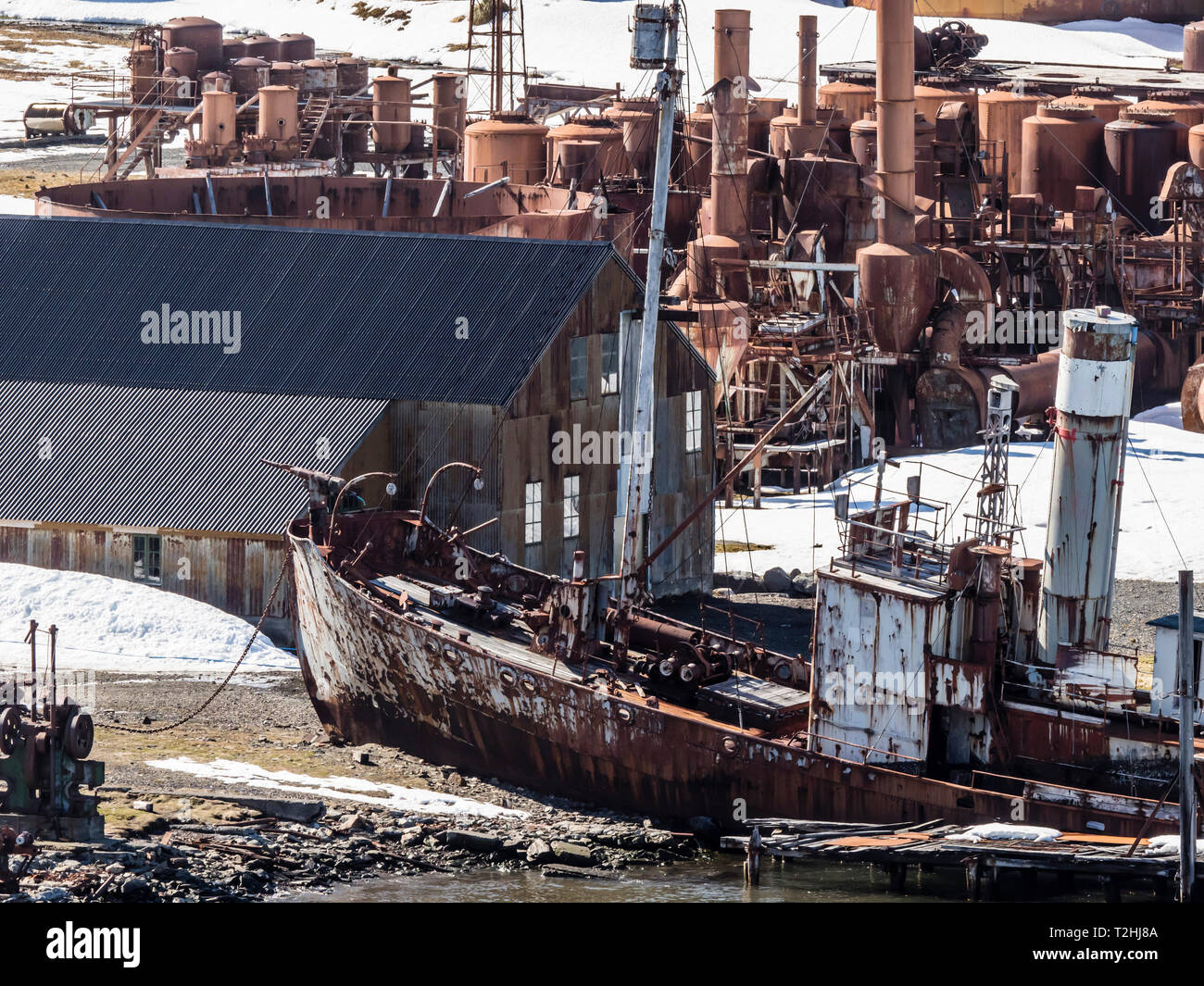 Old Whaling catcher navire à Grytviken, maintenant nettoyé et remis à neuf pour le tourisme sur l'île de Géorgie du Sud, Océan Atlantique Banque D'Images