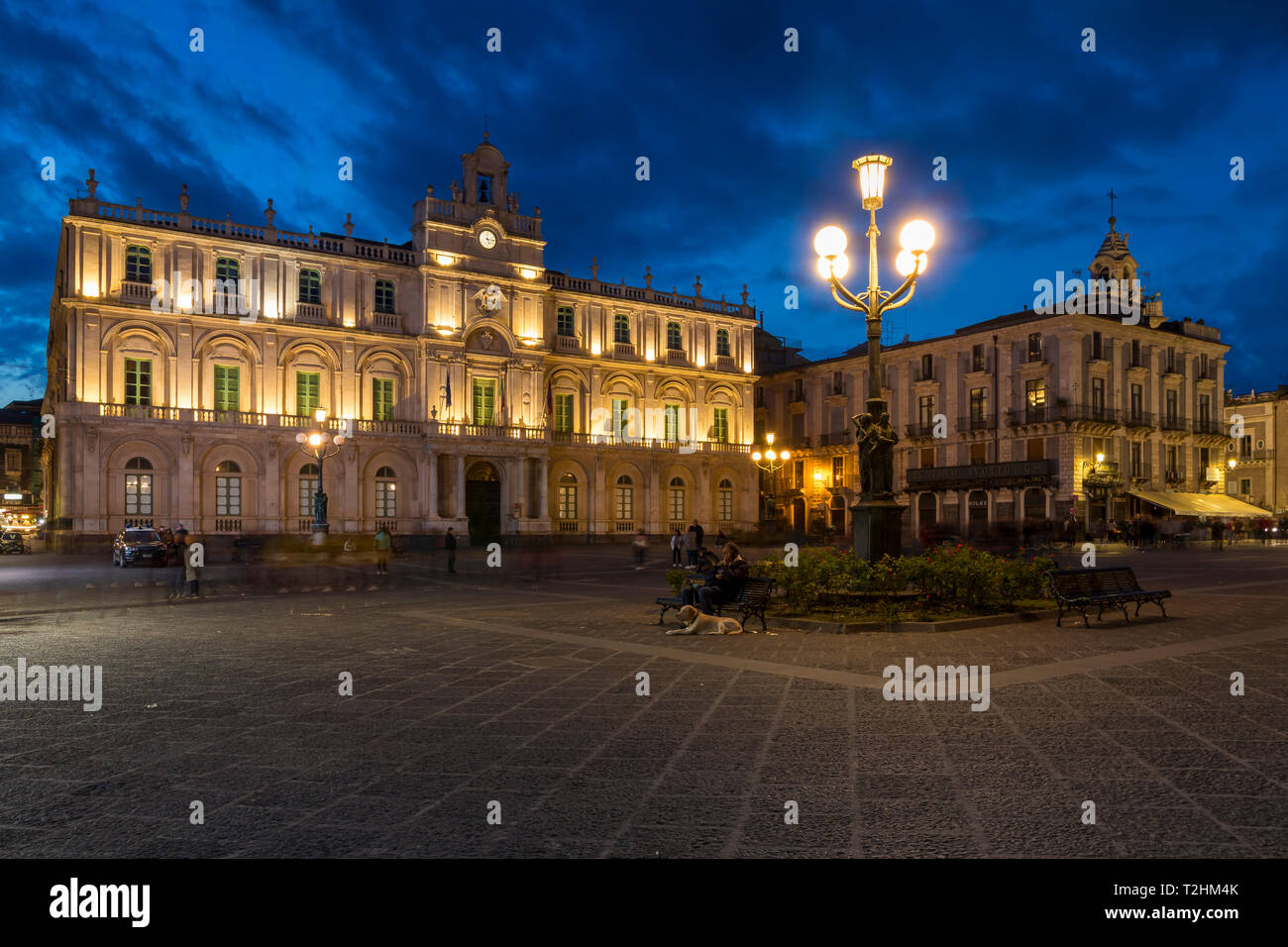 L'allumé Université de Catane à la place de l'Université pendant l'heure bleue, Catane, Sicile, Italie, Europe Banque D'Images