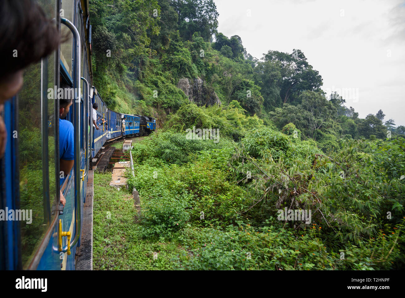 Nilgiri Mountain Railway, entre Ooty et Mumbai, Chennai, Inde, Asie du Sud Banque D'Images
