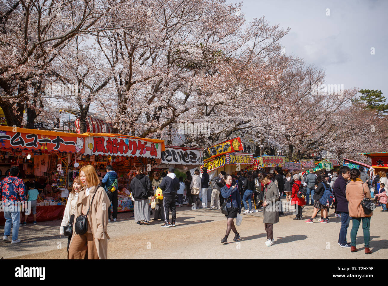 Vu les personnes bénéficiant d'une atmosphère des cerisiers en fleur pendant le festival. Le printemps arrive et 800 'Sakura' cerisiers se propager dans la zone autour de Château Okazaki montrant leurs couleurs avec fierté, ajoutant à l'air de fête de l'endroit, il y a aussi d'innombrables attractions et alimentaire cale, le traditionnel 'Yatai', alignant les berges de la rivière de l'OTO (Otogawa River). Banque D'Images