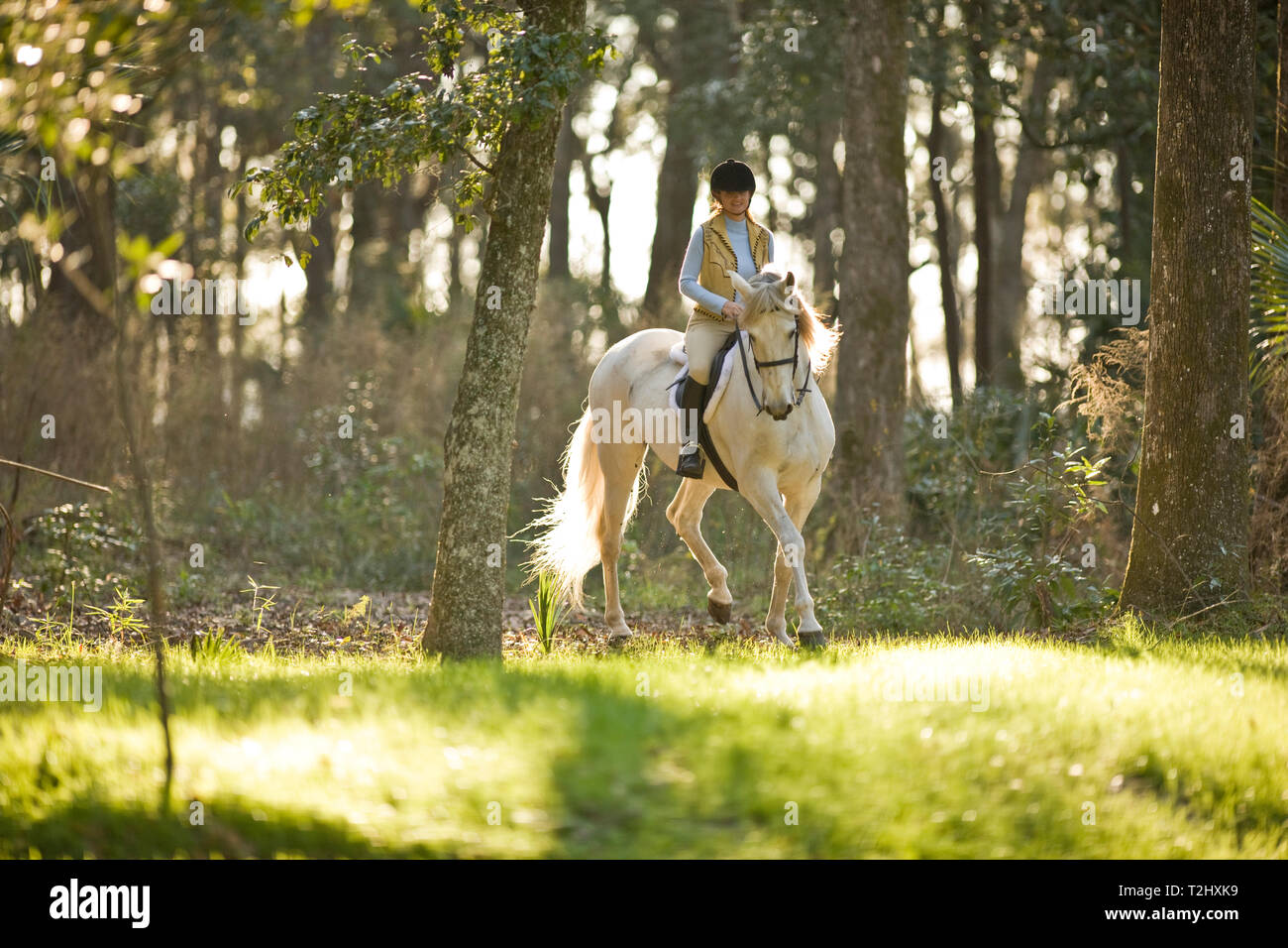 Femme un cheval blanc Banque D'Images