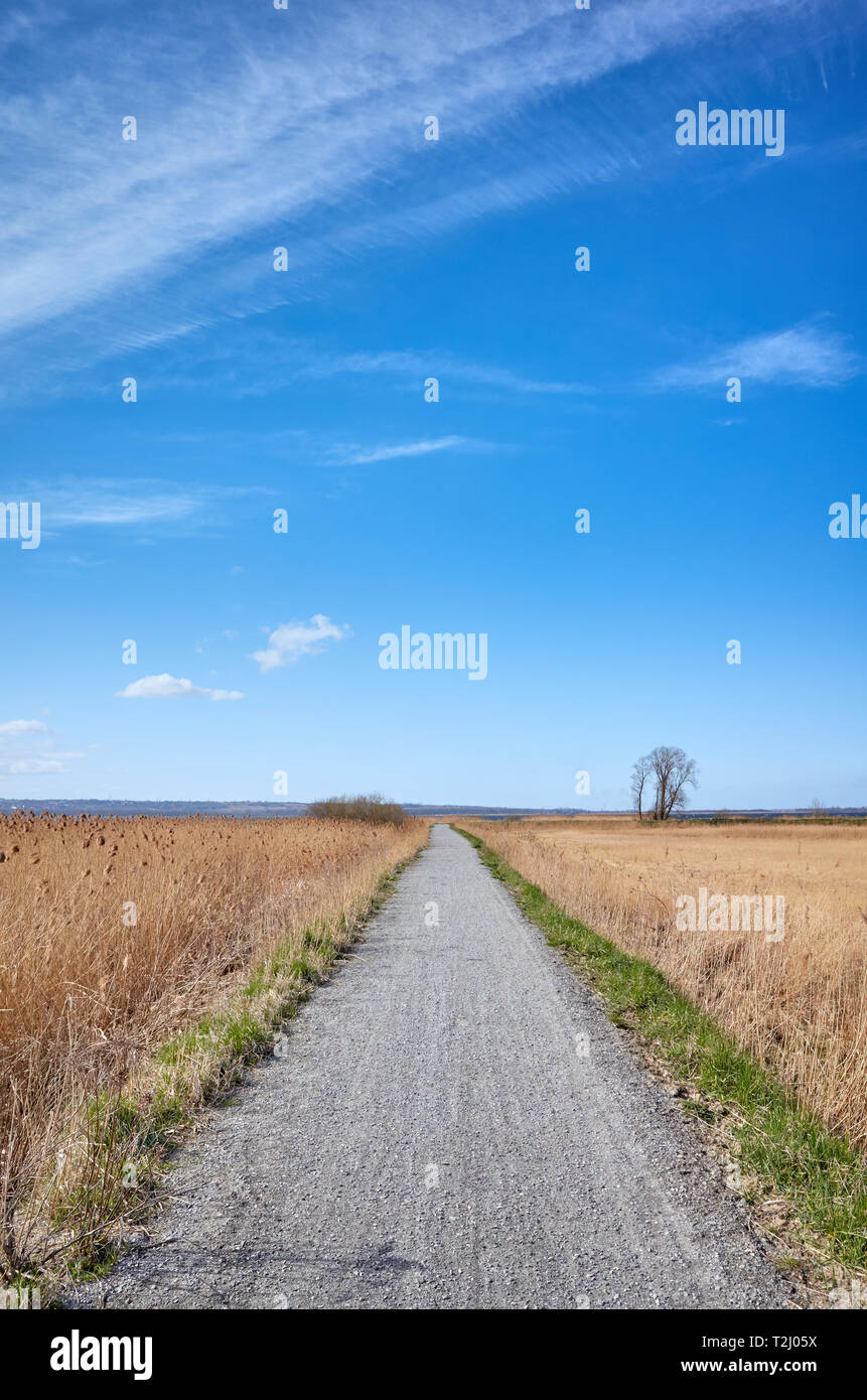 Paysage avec un chemin de campagne au printemps. Banque D'Images