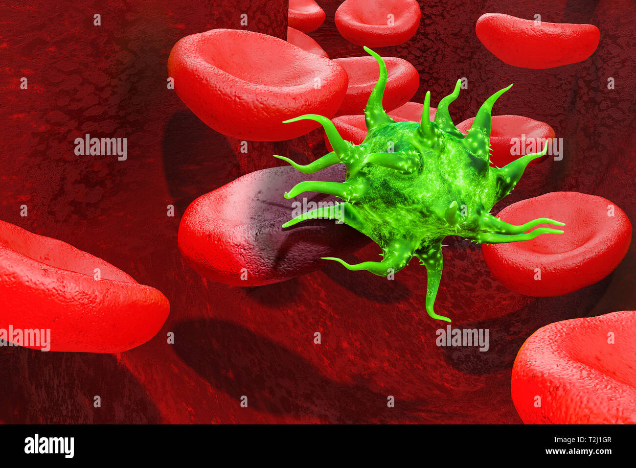 Virus et les cellules du sang circulant à l'intérieur, rendu 3D de l'artère Banque D'Images