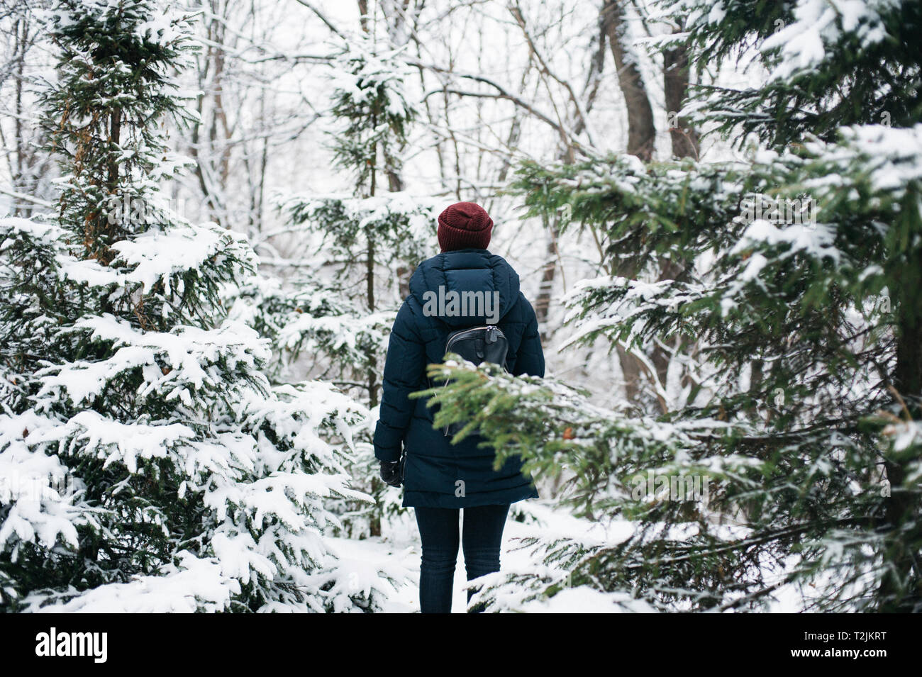 Vue arrière du jeune femme marche en forêt d'hiver Banque D'Images