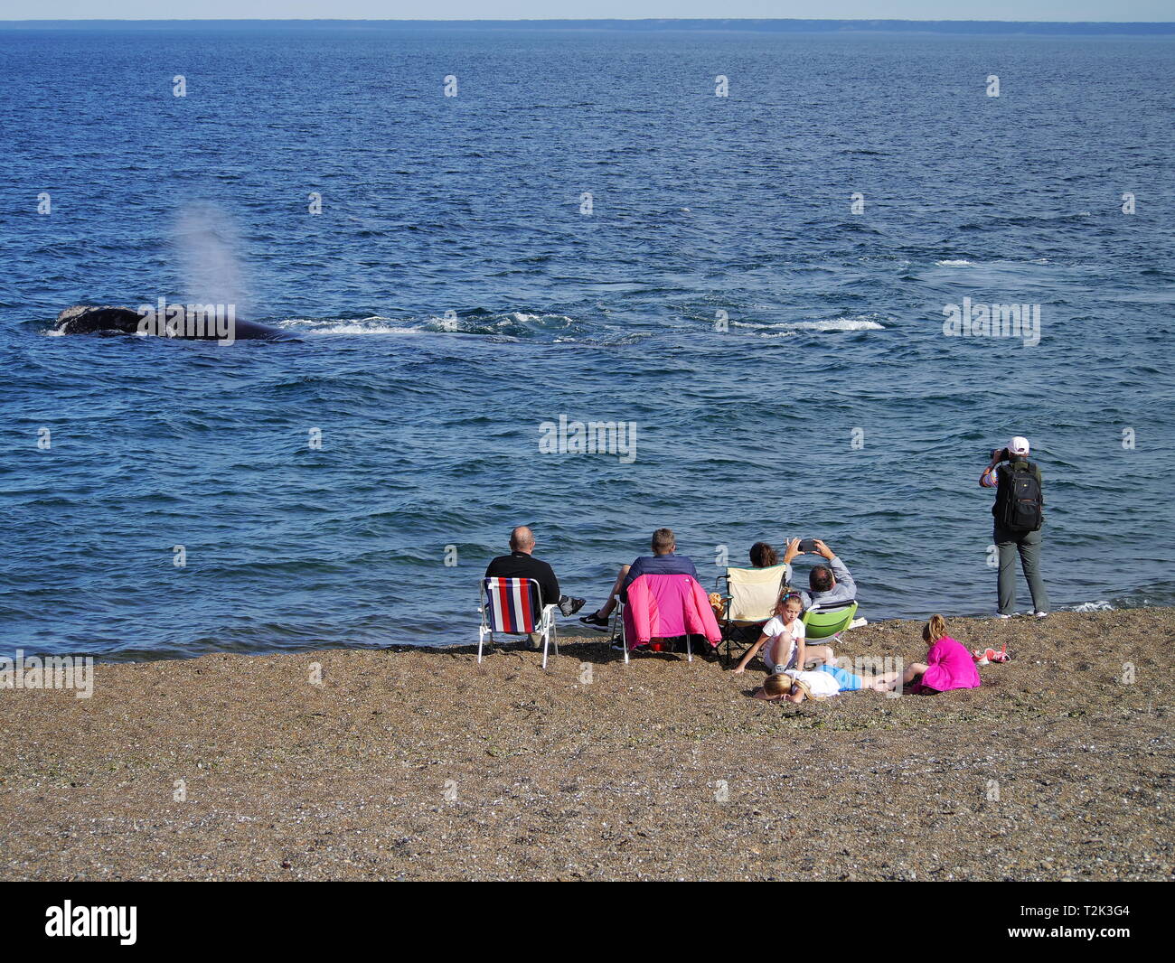 PUERTO MADRYN, AR - circa 2018,OCT - touristes passent un après-midi de printemps ensoleillé l'observation des baleines près de la côte de Playa Las Canteras. Banque D'Images