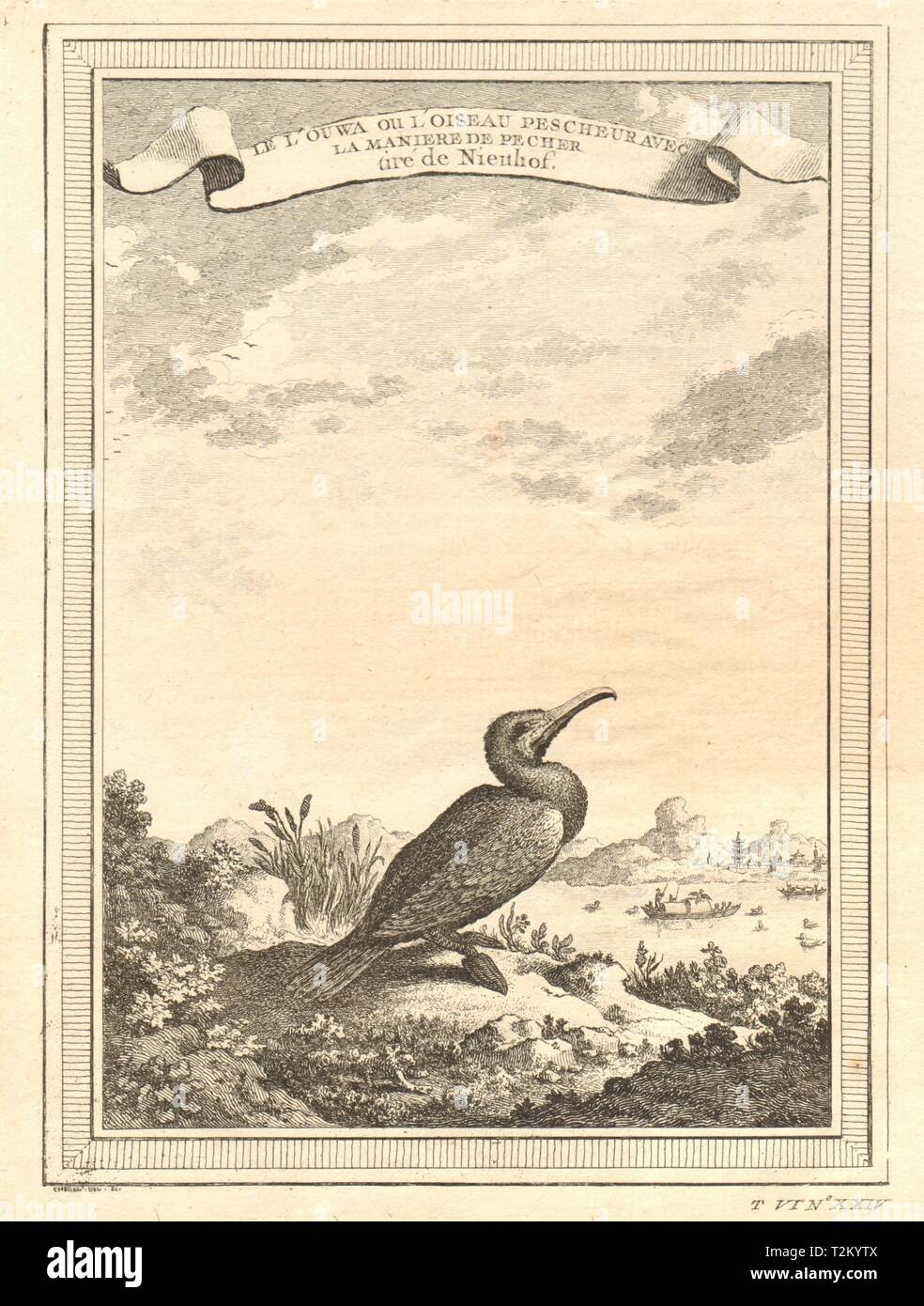 La Chine. Le cormoran ou oiseau de pêche, avec la méthode de pêche 1748 imprimer Banque D'Images