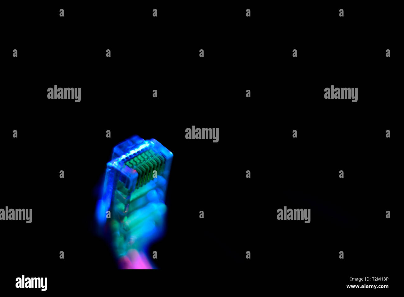 Fiche de connexion réseau isolée sur fond noir Banque D'Images