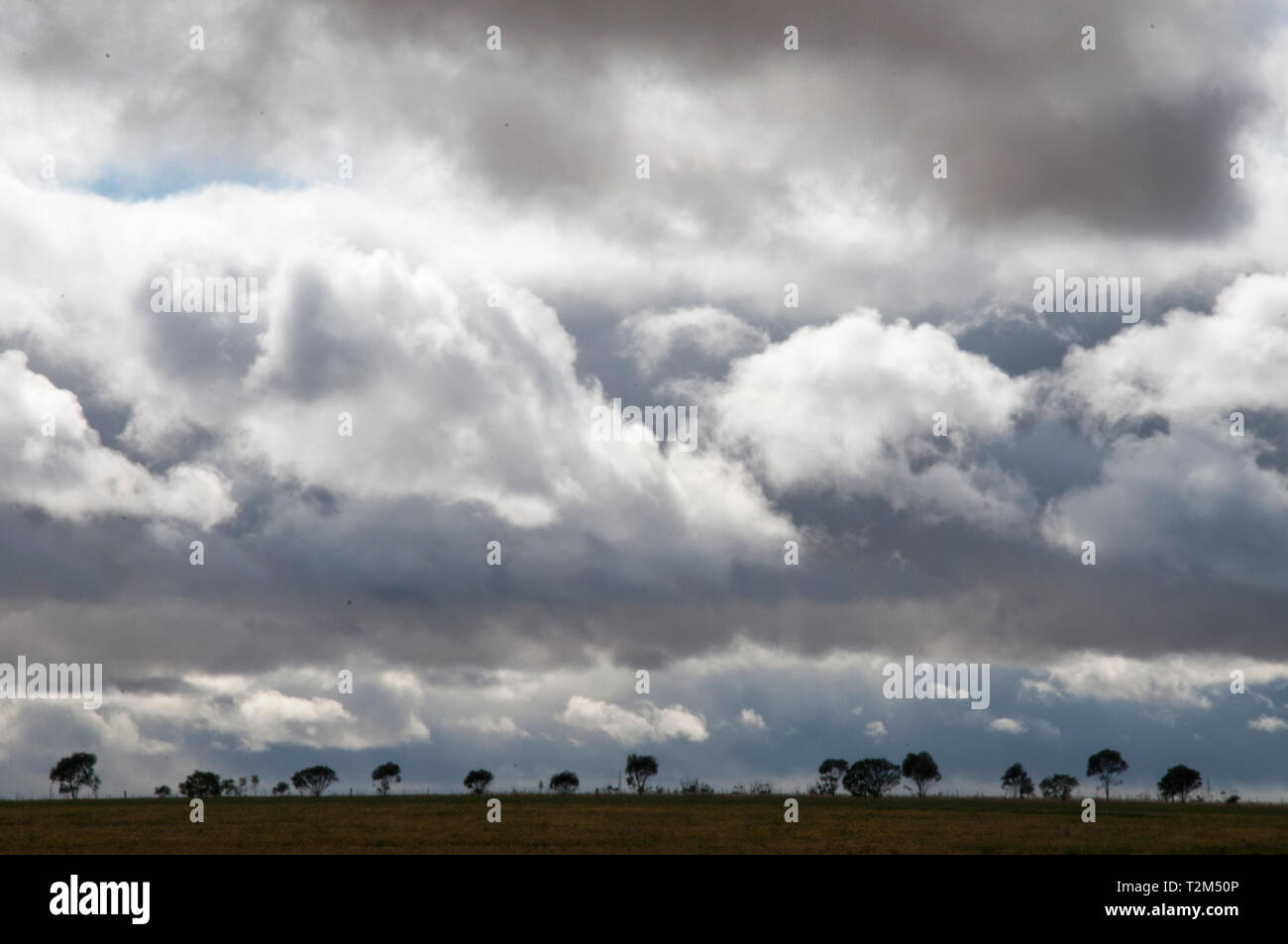 Nath19 dans le ciel, dans l'ouest de Wimmera Victoria, Australie Banque D'Images