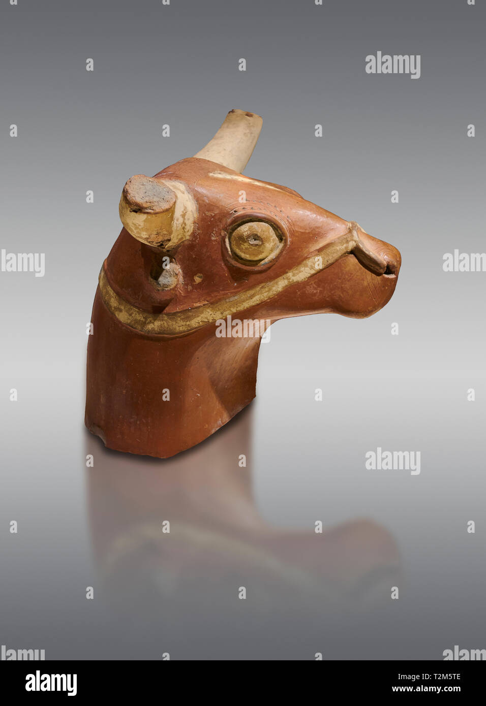 Terre cuite Hittite bull head - 17ème -16ème siècle BC- Hattusa ( Bogazkoy ) - Musée des civilisations anatoliennes, Ankara, Turquie . Contre gray background Banque D'Images