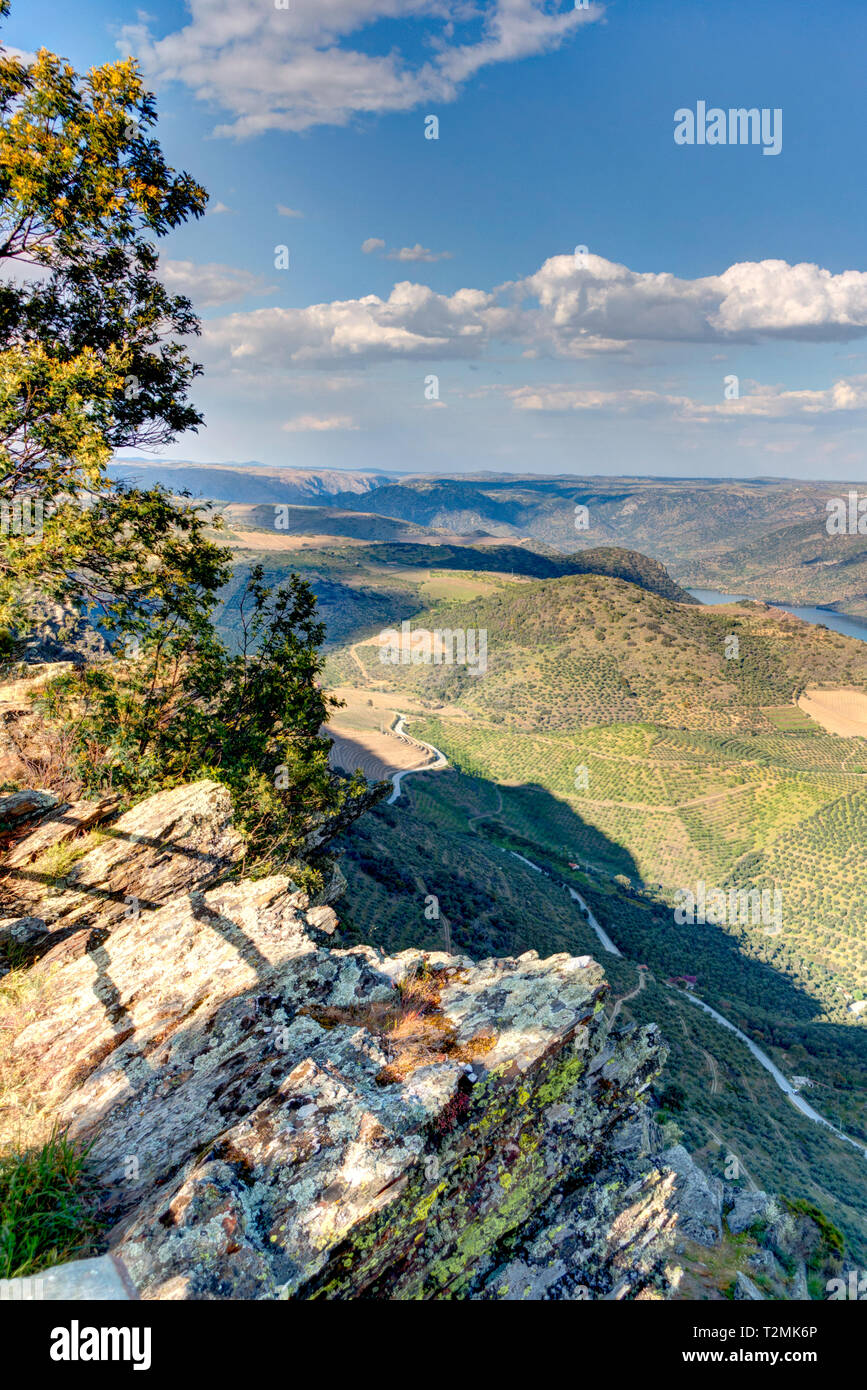 Parc naturel de la Douro Internacional, Portugal Banque D'Images