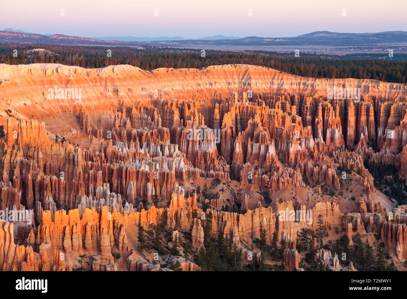 Beaucoup De Spires Appelé Aussi Hoodos Sculpté à Lécart