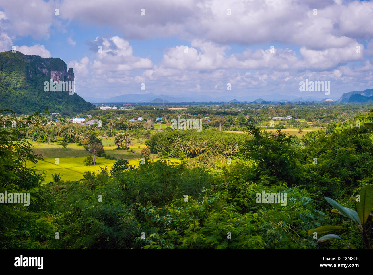 Espaces verts autour de Phatthalung Rock, Thaïlande Banque D'Images