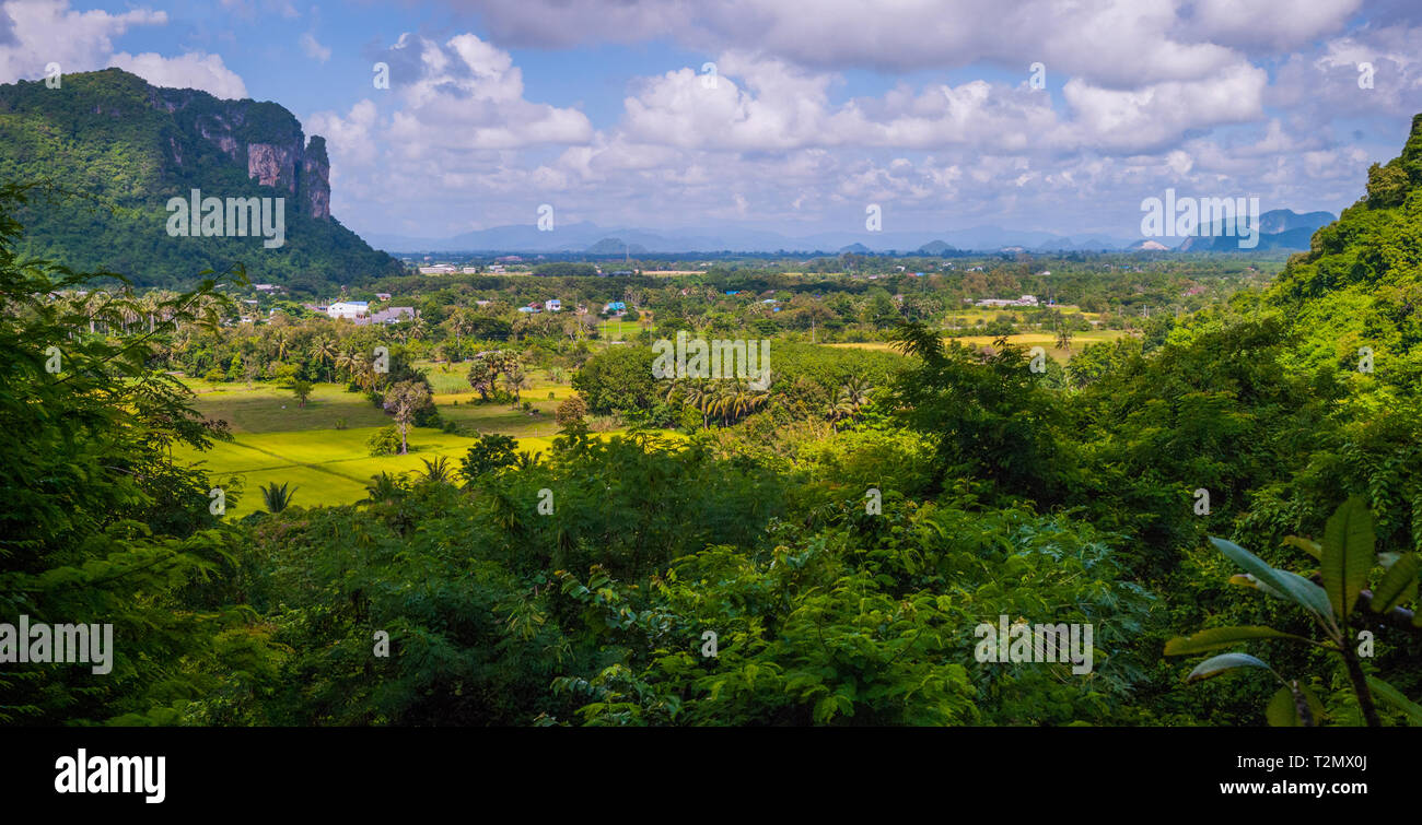 Espaces verts autour de Phatthalung Rock, Thaïlande Banque D'Images