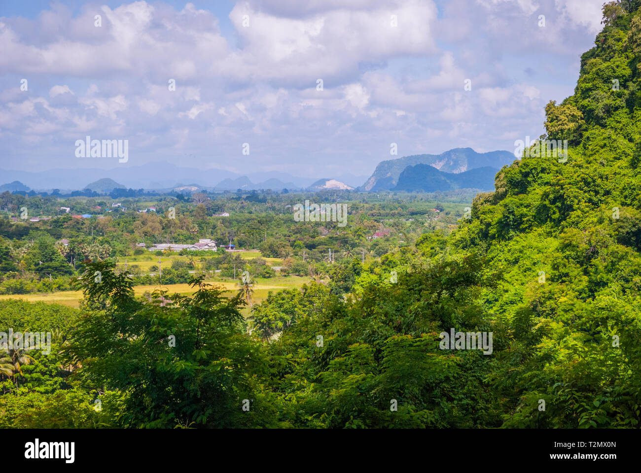 Espaces verts autour de Phatthalung Rock, Thaïlande Banque D'Images