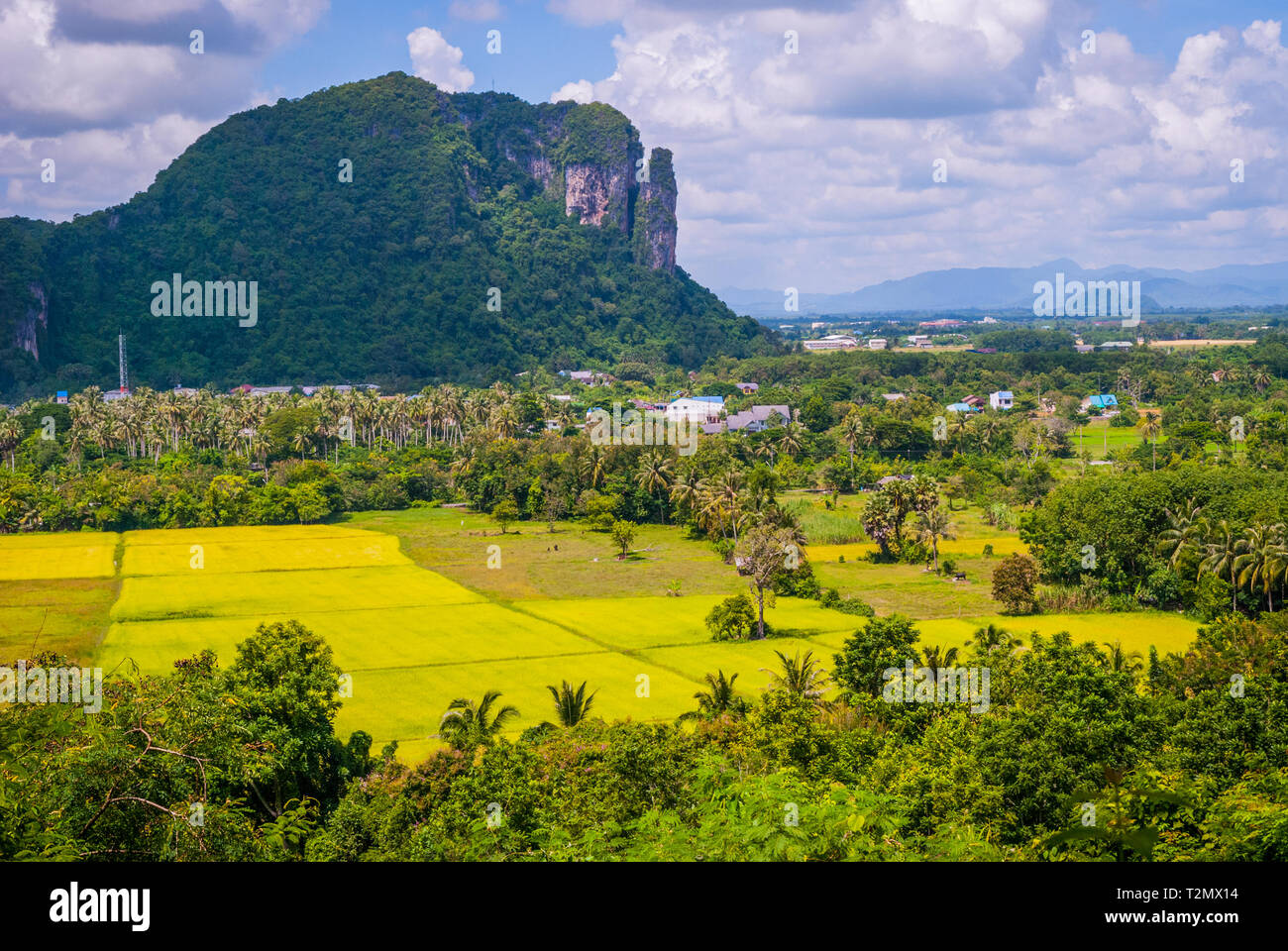 Espaces verts autour de Phatthalung Rock, Thaïlande Banque D'Images