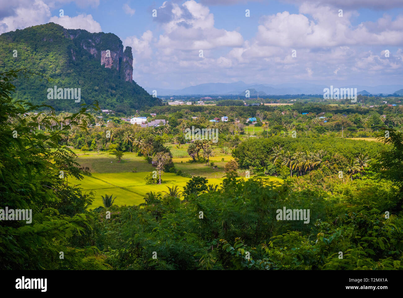 Espaces verts autour de Phatthalung Rock, Thaïlande Banque D'Images