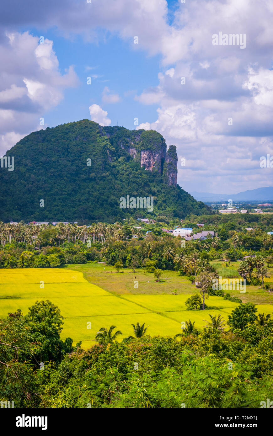 Espaces verts autour de Phatthalung Rock, Thaïlande Banque D'Images