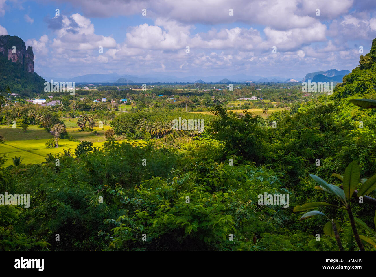 Espaces verts autour de Phatthalung Rock, Thaïlande Banque D'Images