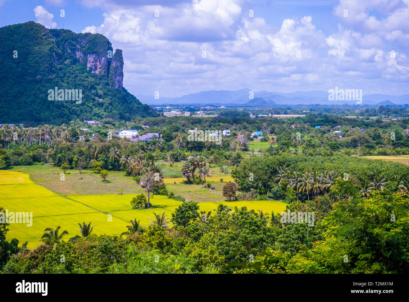 Espaces verts autour de Phatthalung Rock, Thaïlande Banque D'Images