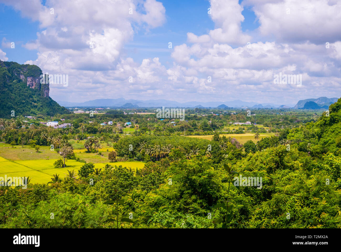 Espaces verts autour de Phatthalung Rock, Thaïlande Banque D'Images