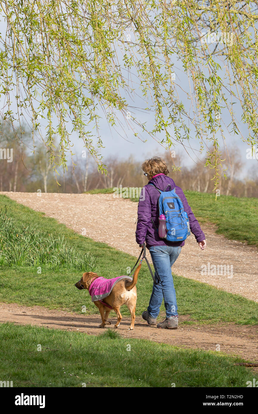 Kidderminster, UK. 3 avril, 2019. Météo France : il y a un démarrage à froid de la journée avec des températures atteignant à peine 6 degrés. Soleil clair est éclater entre les nuages comme les randonneurs de tous types robe pour le temps froid. Les deux chien et propriétaire portent leurs brillantes, manteaux d'hiver. Credit : Lee Hudson/Alamy Live News Banque D'Images Kidderminster, UK. 3 avril, 2019. Météo France : il y a un démarrage à froid de la journée avec des températures atteignant à peine 6 degrés. Soleil clair est éclater entre les nuages comme les randonneurs de tous types robe pour le temps froid. Les deux chien et propriétaire portent leurs brillantes, manteaux d'hiver. Credit : Lee Hudson/Alamy Live News Banque D'Images