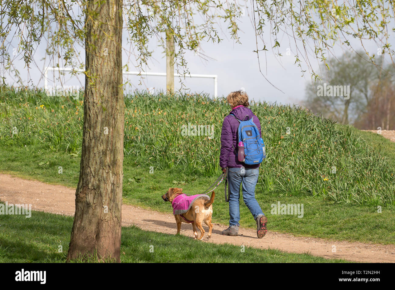 Kidderminster, UK. 3 avril, 2019. Météo France : il y a un démarrage à froid de la journée avec des températures atteignant à peine 6 degrés. Soleil clair est éclater entre les nuages comme les randonneurs de tous types robe pour le temps froid. Les deux chien et propriétaire portent leurs brillantes, manteaux d'hiver. Credit : Lee Hudson/Alamy Live News Banque D'Images Kidderminster, UK. 3 avril, 2019. Météo France : il y a un démarrage à froid de la journée avec des températures atteignant à peine 6 degrés. Soleil clair est éclater entre les nuages comme les randonneurs de tous types robe pour le temps froid. Les deux chien et propriétaire portent leurs brillantes, manteaux d'hiver. Credit : Lee Hudson/Alamy Live News Banque D'Images