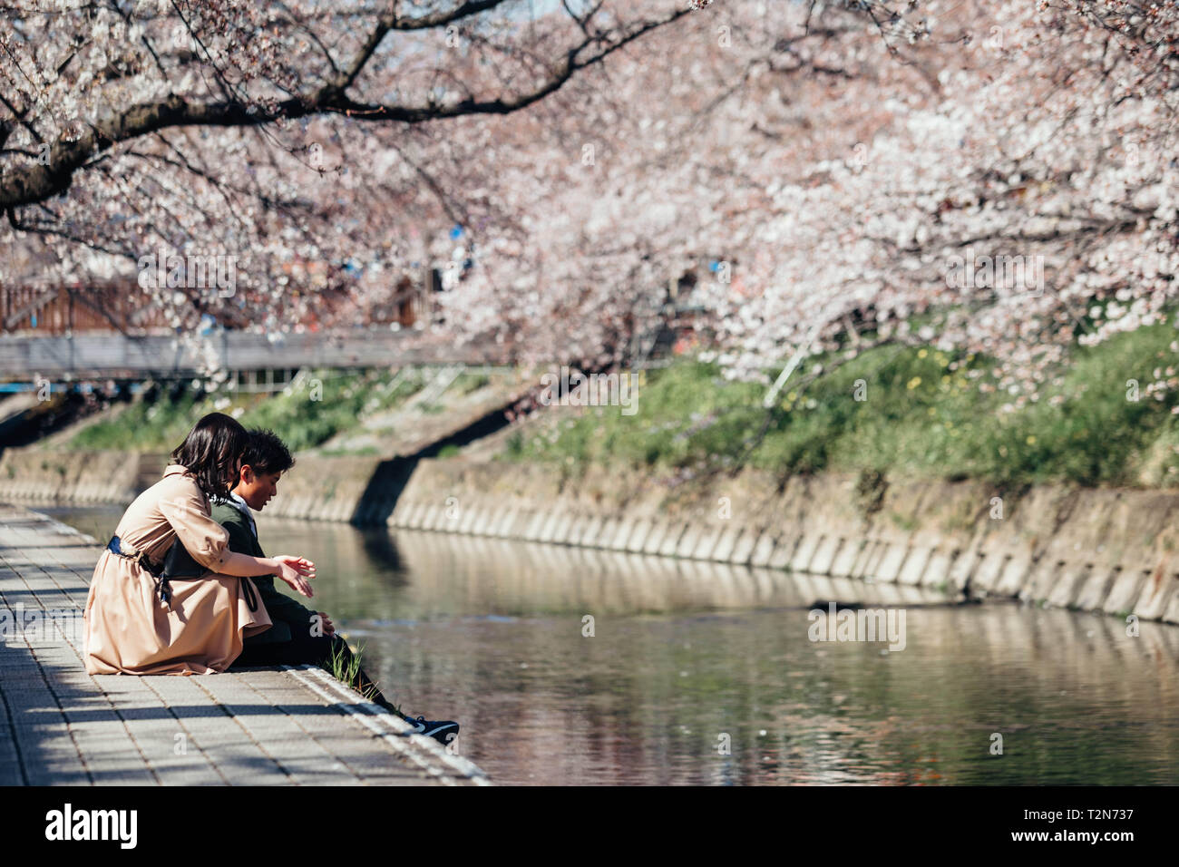 Iwakura, Aichi, Japon. 3ème apr 2019. Un couple vu profiter durant la fête des fleurs de cerisier Iwakura une surbrillance de arch créé par environ 1 400 cerisiers qui ont été plantés le long des deux rives de la rivière Gojo où il s'écoule à travers la ville. Iwakura Credit : Takahiro Yoshida SOPA/Images/ZUMA/Alamy Fil Live News Banque D'Images