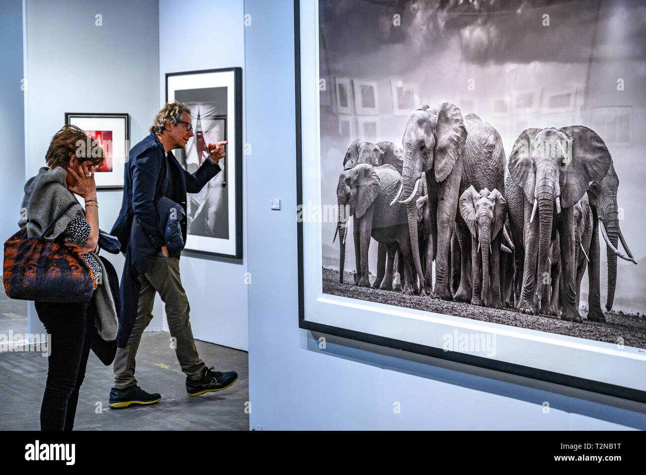 New York, USA. Apr 7, 2019. Les gens assistent à l'aperçu de la 39e édition du spectacle présenté par la photographie AIPAD (Association of International Photography Art Dealers). Le spectacle présente plus de 90 des plus grands fine art photographie galeries et plus de 30 éditeurs de livres à New York du 4 avril au 7. Credit : Enrique Shore/Alamy Live News Banque D'Images