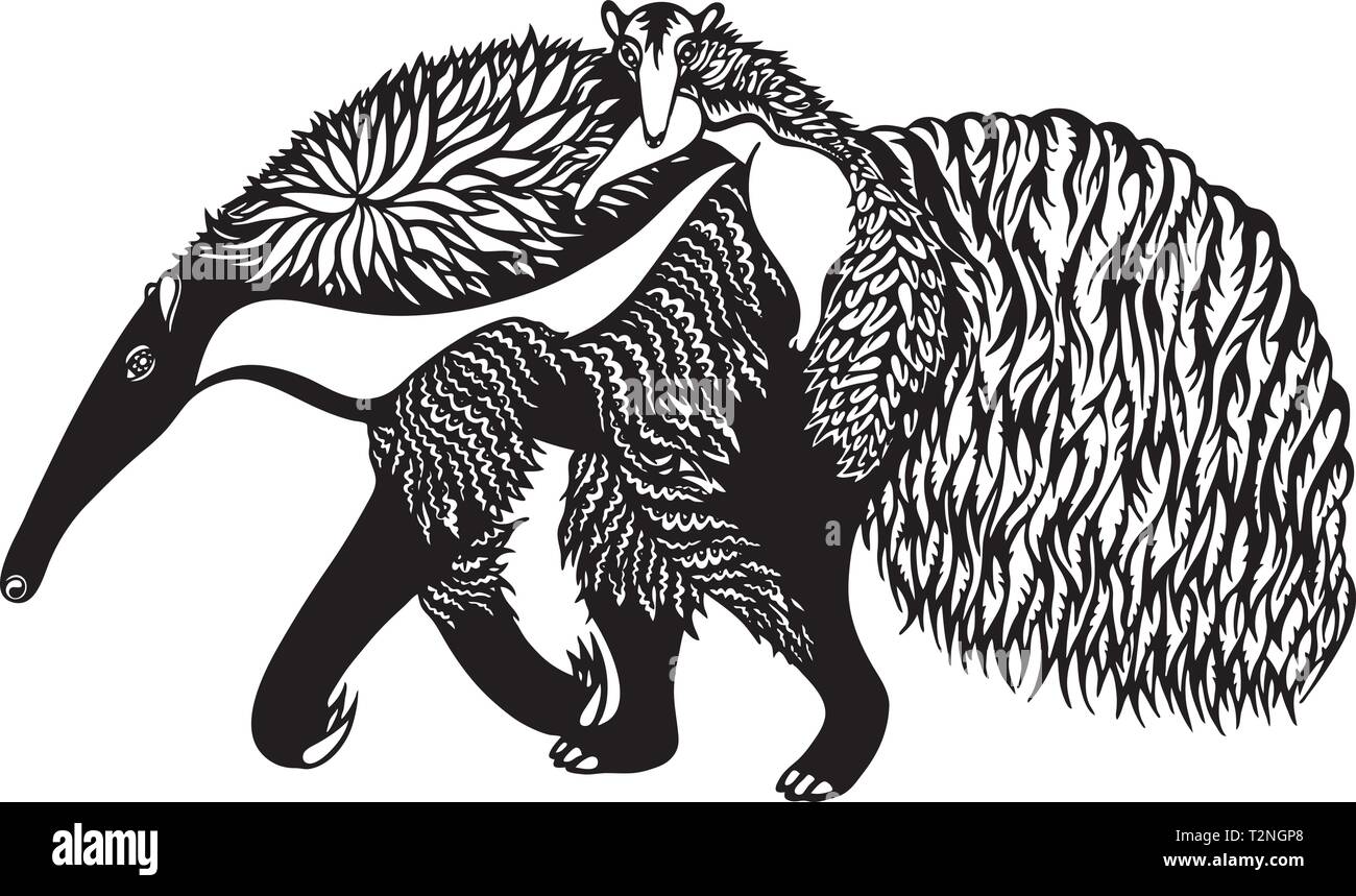 Anteater avec un ourson sur le dos noir et blanc graphic vector illustration Illustration de Vecteur Anteater avec un ourson sur le dos noir et blanc graphic vector illustration Illustration de Vecteur