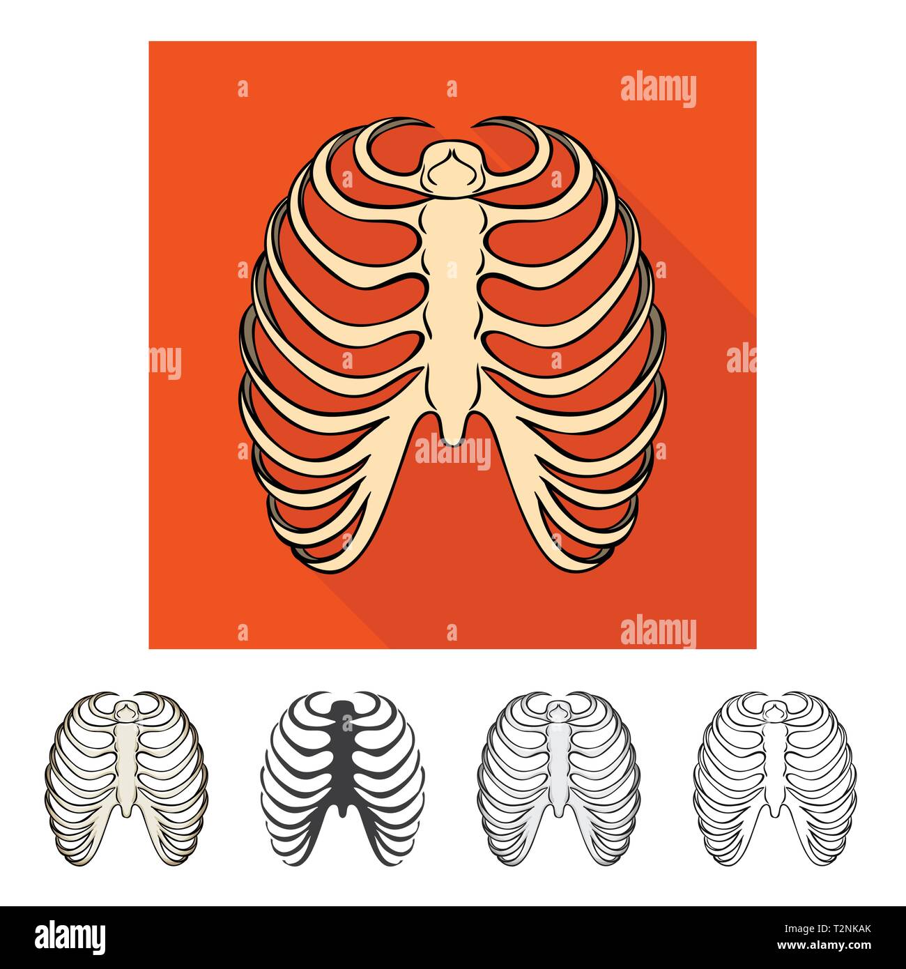 Rib Cage,,xray,body,dos,sternum sternum,calcium,chirurgie,médecine,clinique,biologie,médical,os,,squelette anatomie,des,organes,,set,icône,,illustration,collection,isolé,design,graphisme,élément,signe, vecteurs vecteur , Illustration de Vecteur