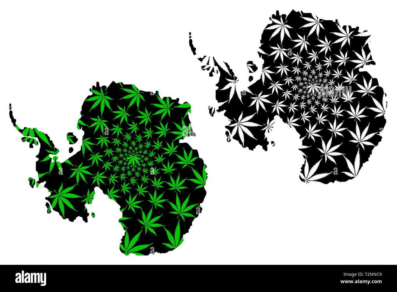 Continent Antarctique - carte feuille de cannabis est vert et noir, Pôle Sud carte de marijuana, THC) feuillage, Illustration de Vecteur