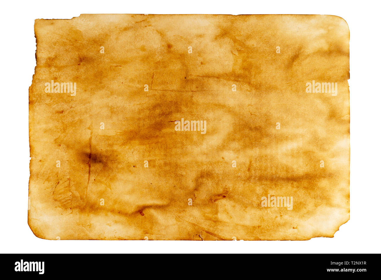 Feuille de papier brûlé vieux. Banque D'Images