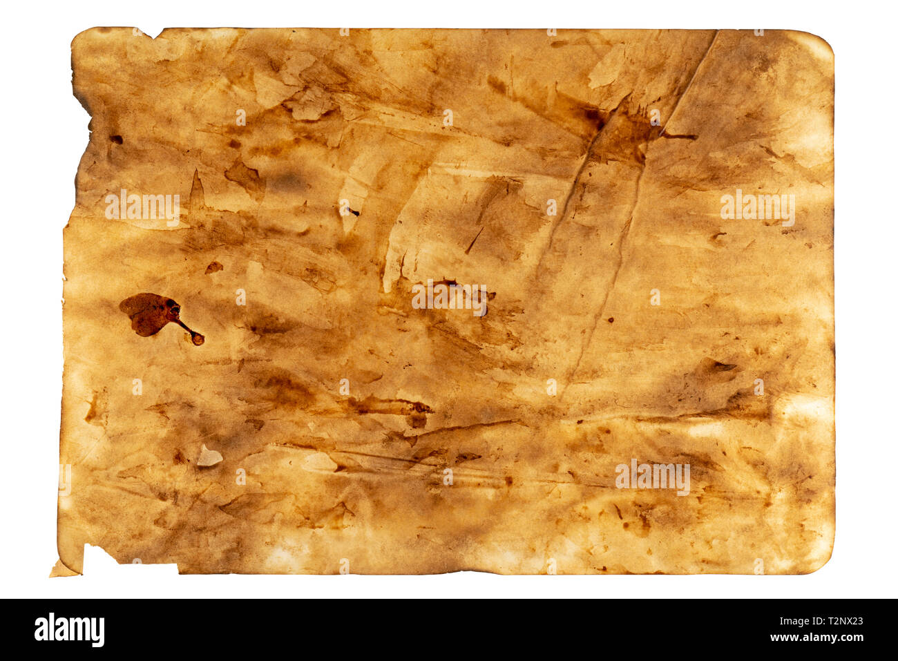 Feuille de papier brûlé vieux. Banque D'Images