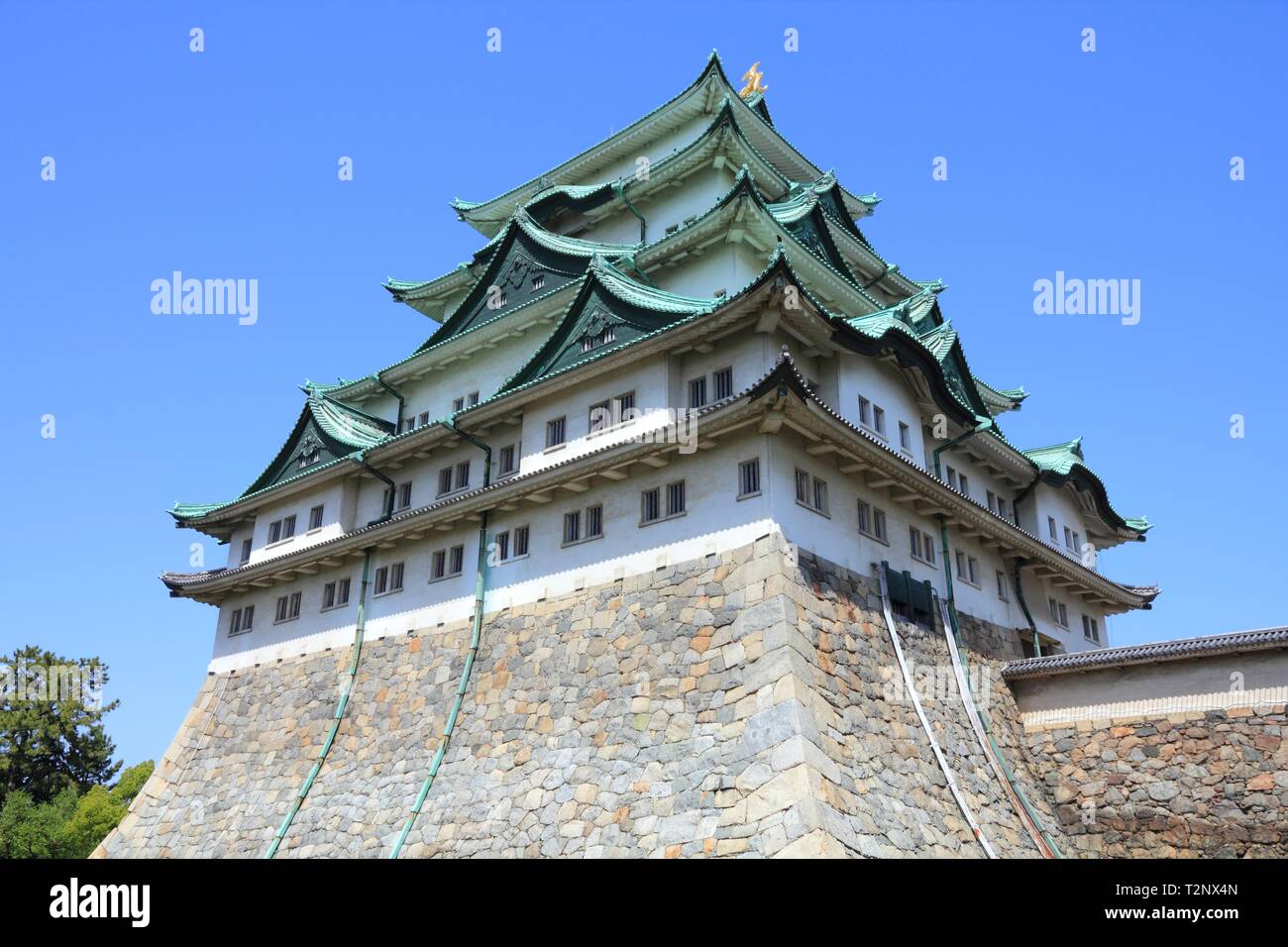 Nagoya, Japon - ville dans la région de Chubu dans la préfecture d'Aichi. Château Nagoya-jo. Banque D'Images